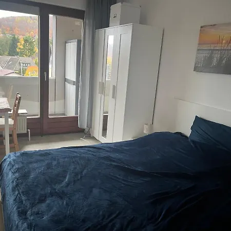 Ferienwohnung Bad Harzburg アパート バート・ハルツブルク