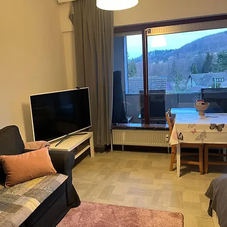 Ferienwohnung Bad Harzburg *